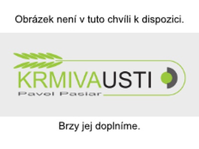 Ječmen